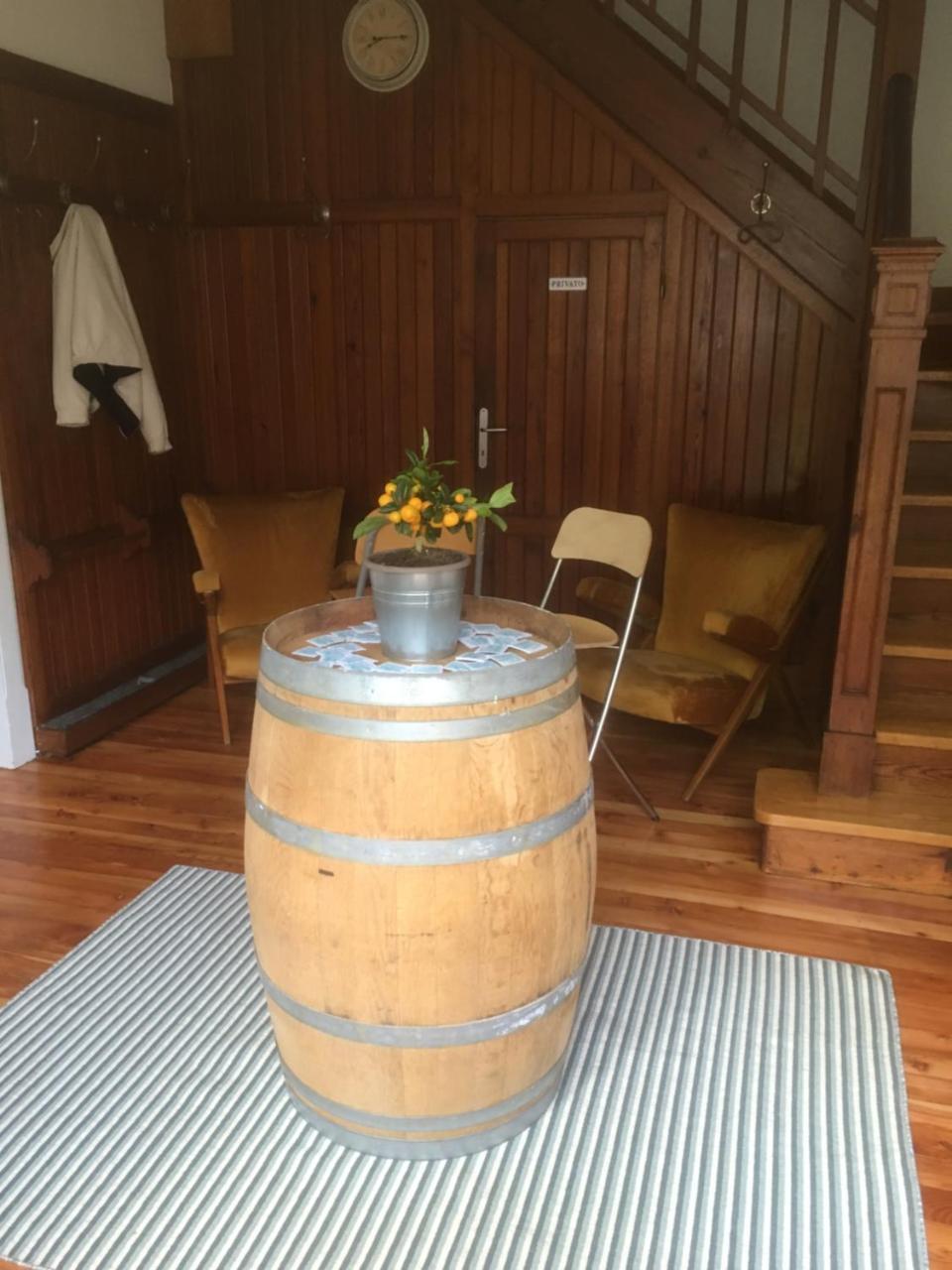 לינה וארוחת בוקר אלאניה ואלססיה L'Aria Di Casa מראה חיצוני תמונה